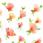 floretの画像