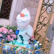 まつりの画像