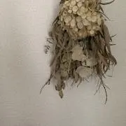 まるの画像