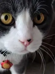 はじよの画像