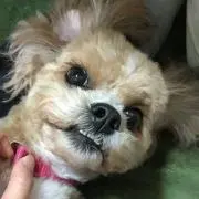 ★あさ★