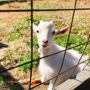 ヒデキの画像