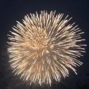 teketekeの画像