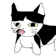 マミーズショップ