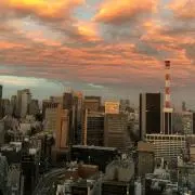 とんちゃんの画像