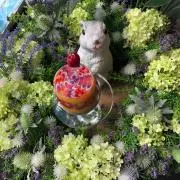 みゆの画像