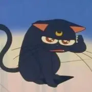 ドッグスの画像