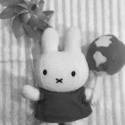 タータンの画像