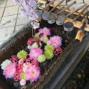 たく