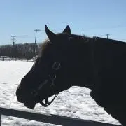 sorahaneの画像