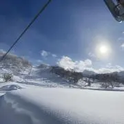 五条悟りたいの画像