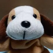 gonchanの画像