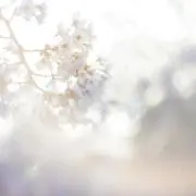♡の画像