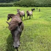 たび友の画像