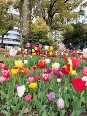 フラワー♪の画像
