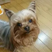 こなさん