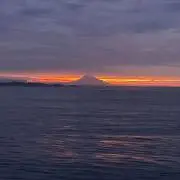 プロサポ