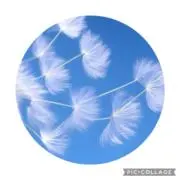 nrkの画像