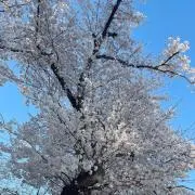 みかの画像