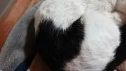 love★セツの画像