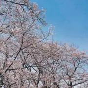 zafista@断捨離の画像