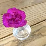 びく