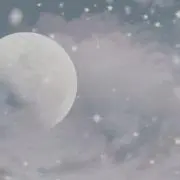mgプロフ必読の画像