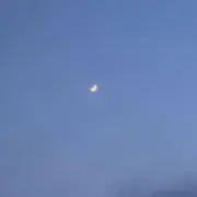 ゆはさの画像