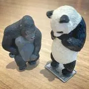 CHUの画像