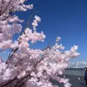 ria*・の画像
