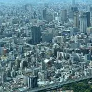 キサラギ