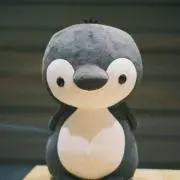 さちの画像