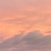 さきりんの画像