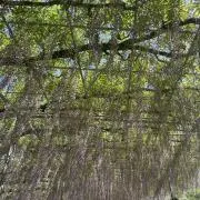 なんでも安いの画像