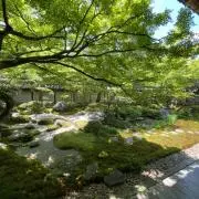 M/Iの画像