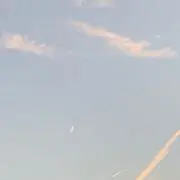 も