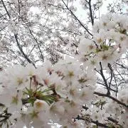 ＊3939＊★プロフ必読★の画像