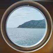 りんの画像
