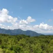きのみの画像
