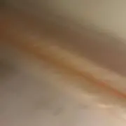 Miitam