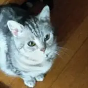 すーちゃん