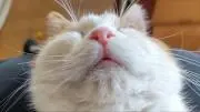 みるまおの画像