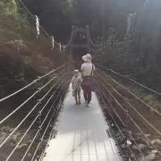 tanayo