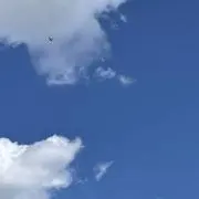 25の画像