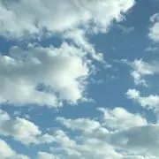 かなやの画像