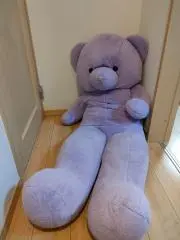 こうきの画像