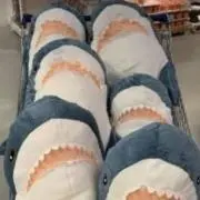 サメちゃん★即購入歓迎