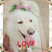 かずみん
