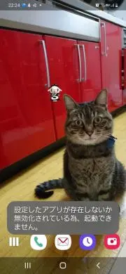 ねこまんま⭐猫飼ってますの画像
