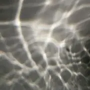 ミンの画像